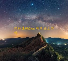 你知道WeChat 刷票的工作吗