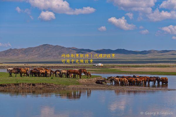 网络刷票软件|代理IP投票可用于无限投票