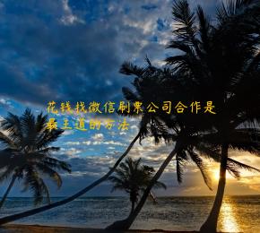 花钱找微信刷票公司合作是最王道的方法