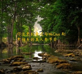 你注意到最近与WeChat 刷票相关的真人秀节目