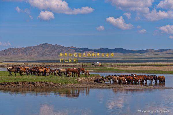 刷票和它自己的刷票方法有什么区别