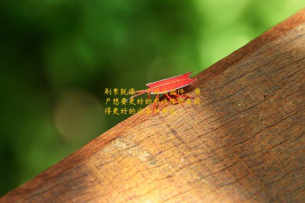 刷票就像一个游戏插件，用户想要更好的游戏体验来获得更好的设备和等级