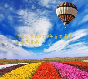 你想投票给2019年春晚最喜欢的节目吗