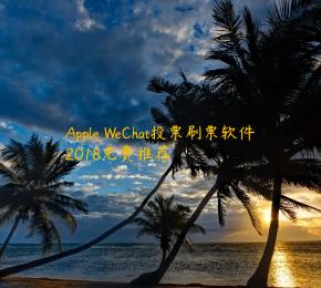 Apple WeChat投票刷票软件2018免费推荐