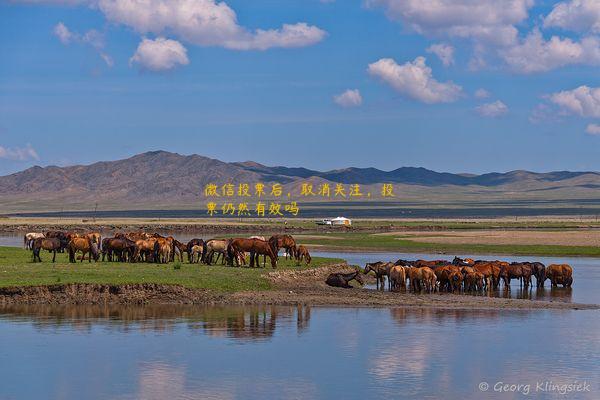 微信投票后，取消关注，投票仍然有效吗