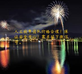 人工投票团队价格合理！保证安全中心！需求留下微信号。