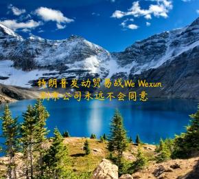 特朗普发动贸易战We Wexun 刷票公司永远不会同意