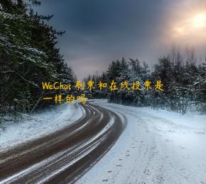 WeChat 刷票和在线投票是一样的吗