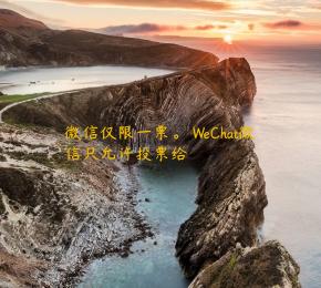 微信仅限一票。 WeChat微信只允许投票给