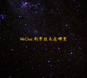 WeChat 刷票技术在哪里