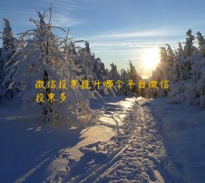 微信投票提升哪个平台微信投票多